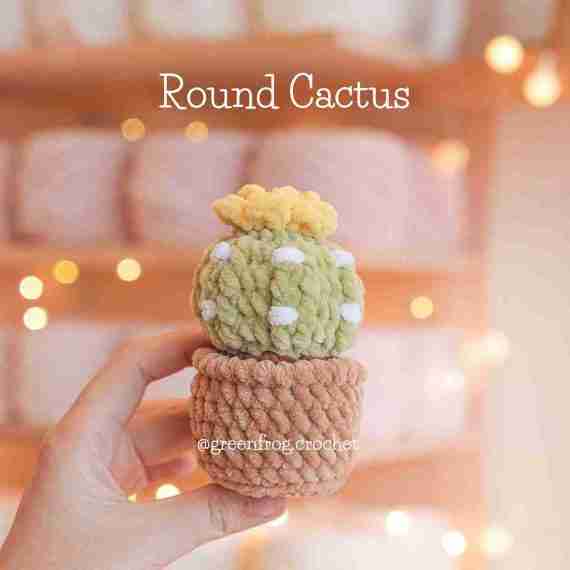 Amigurumi no sew crochet patterns cactus and succulent